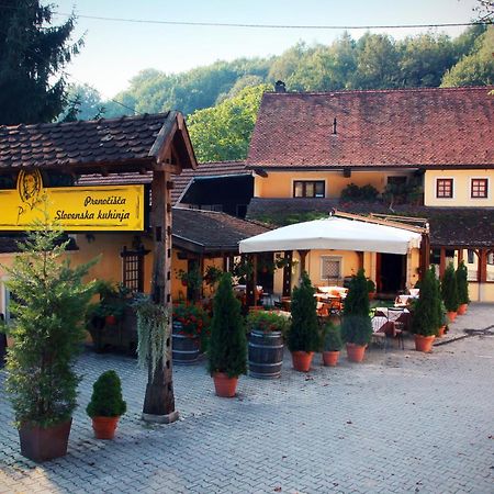 Guest House Pri Vodniku Ljubljana Kültér fotó